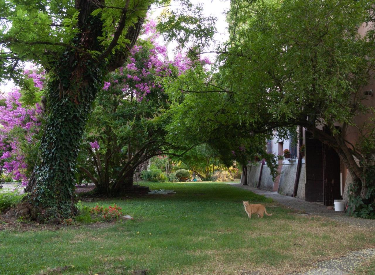 Cà Morari Acomodação com café da manhã Argenta Exterior foto